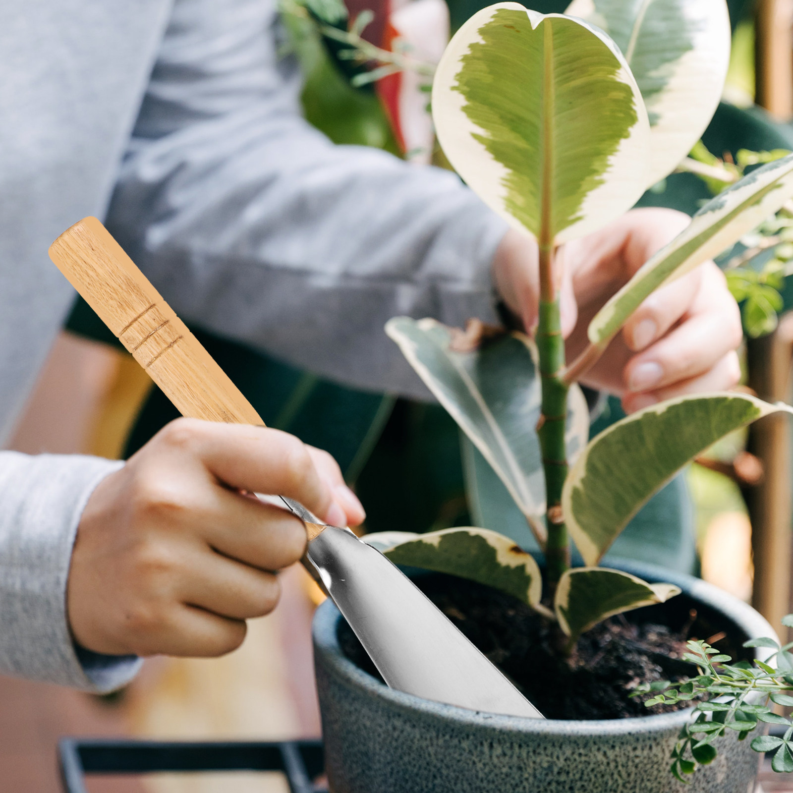Garden Hand Trowel - Pala de Jardín de Acero Inoxidable