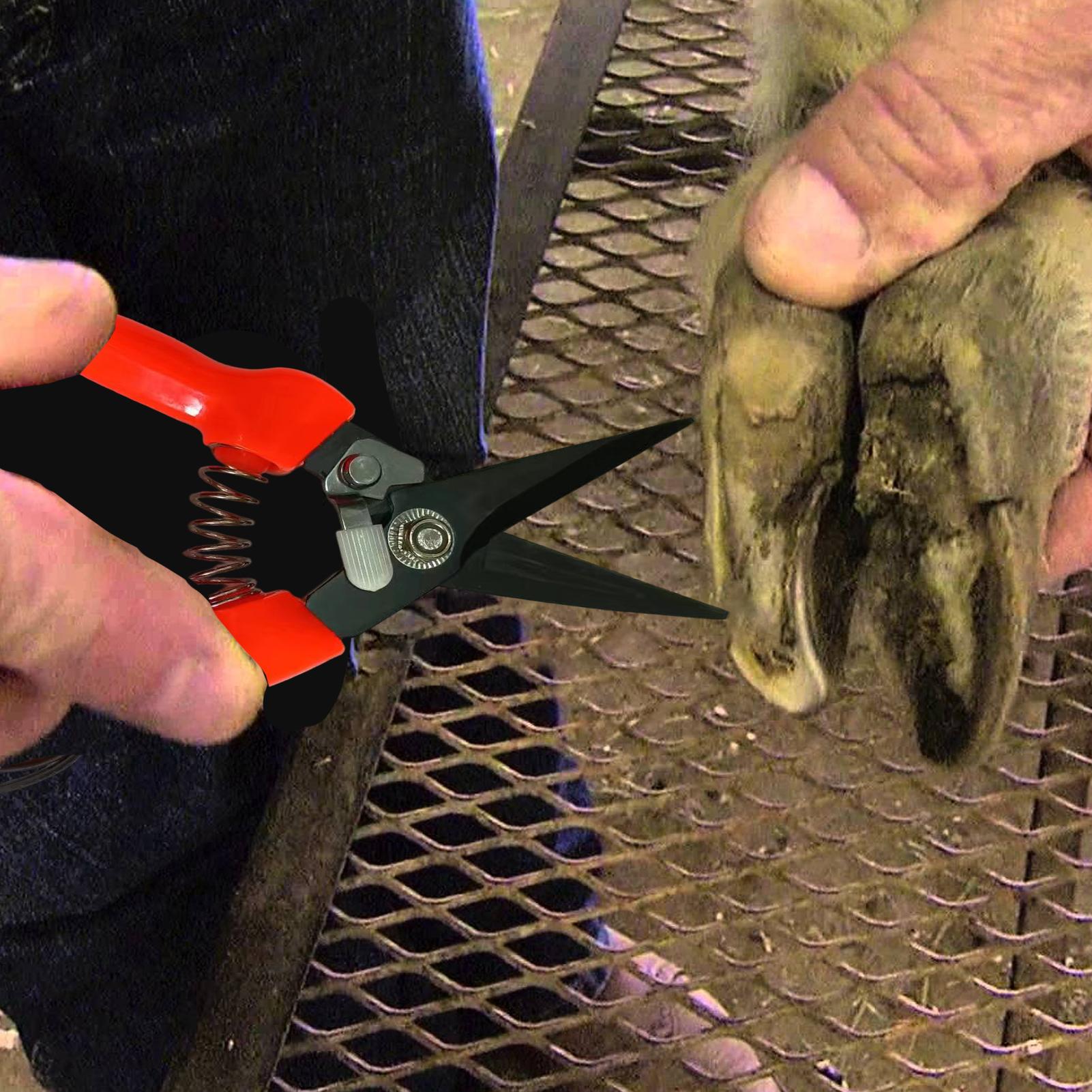 Tijeras para recortar pezuñas  - Garden Hand Trowel reseña y precio