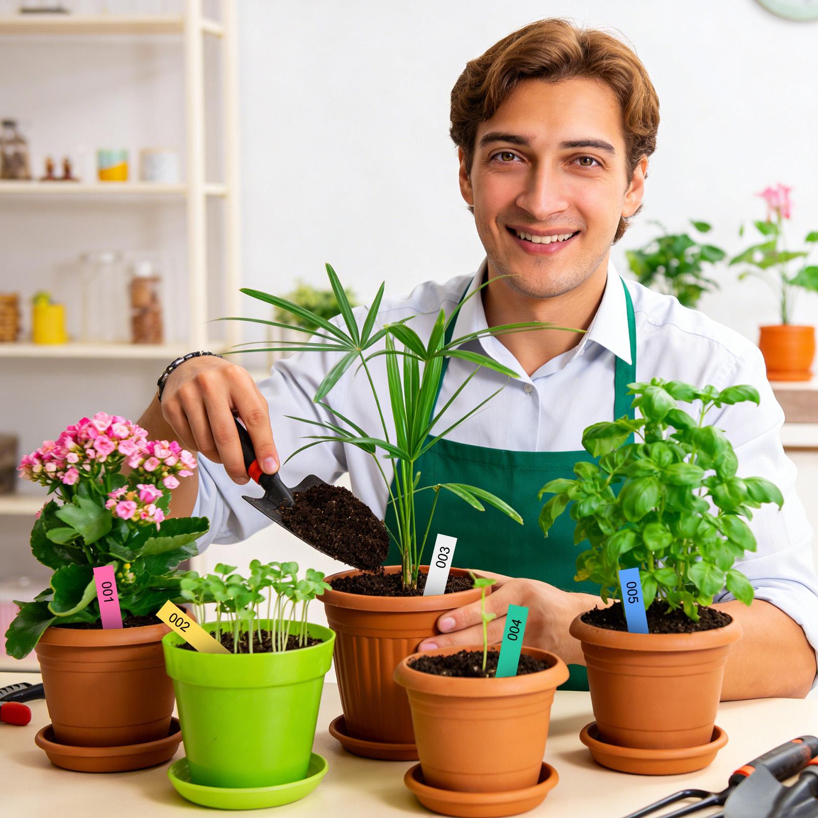 Etiquetas para plantas de 500  - Garden Label Marker reseña y precio