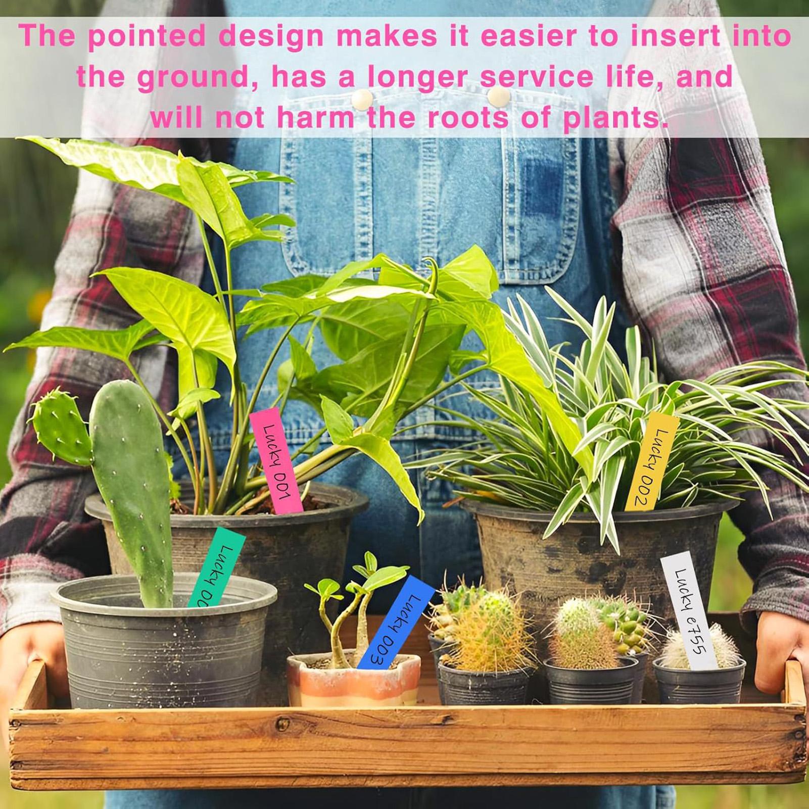 Etiquetas para plantas de 500  - Garden Label Marker reseña y precio