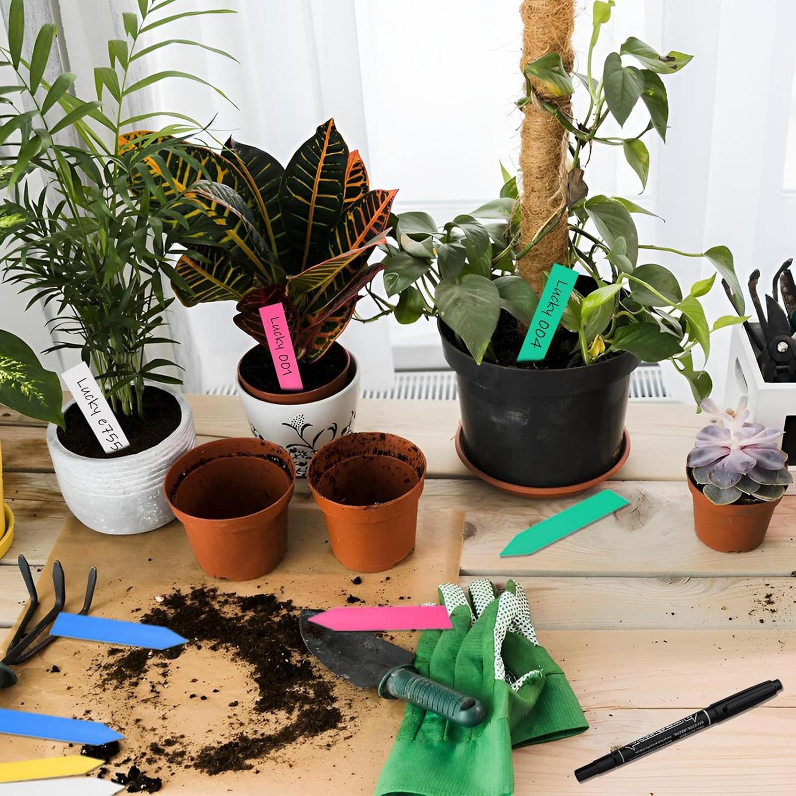 Etiquetas para plantas de 500  - Garden Label Marker reseña y precio