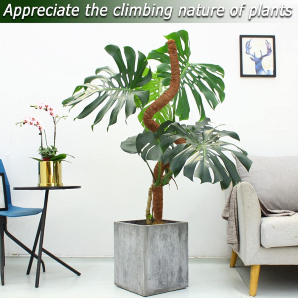 Soporte de escalada de plantas - Gardening Tools Kids reseña y precio