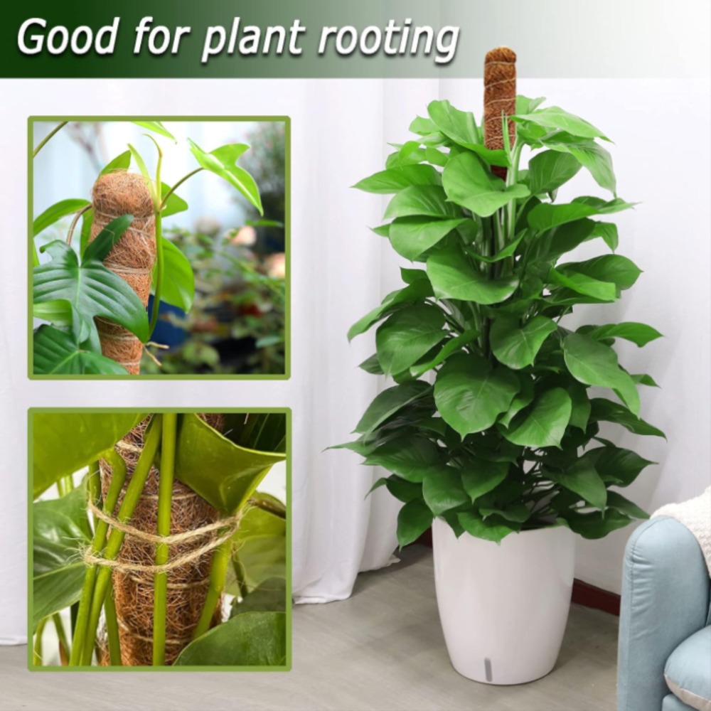 Soporte de escalada de plantas - Gardening Tools Kids reseña y precio