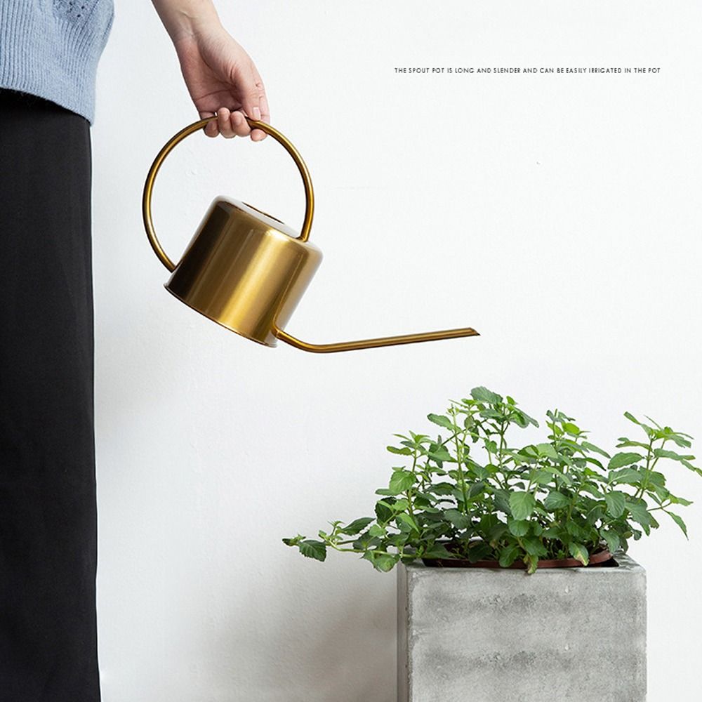 U-hervidor de agua para planta - Gardening Tools Quality reseña y precio