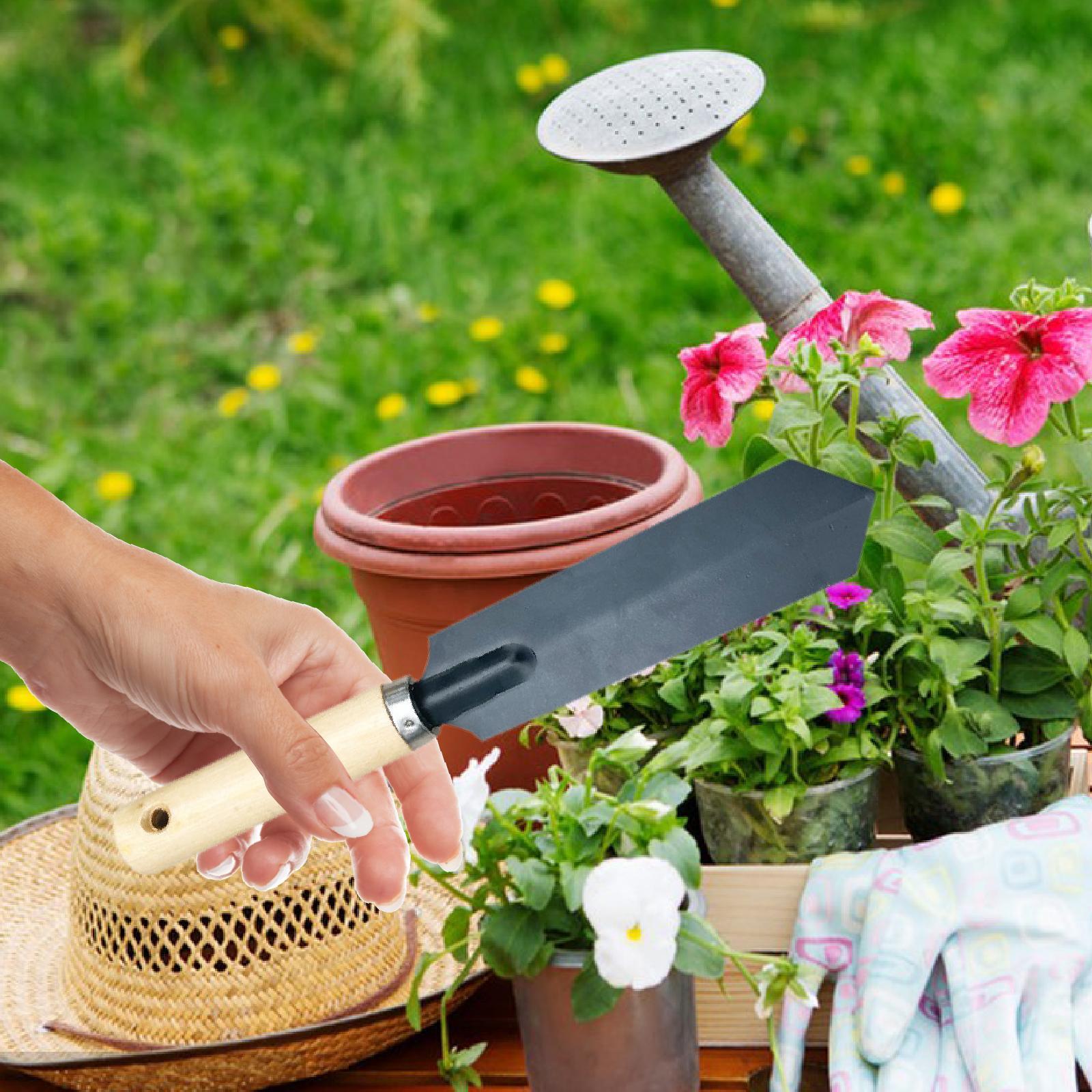 Herramienta de excavación de p - Garden Hand Trowel reseña y precio