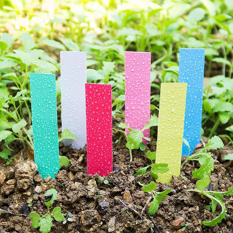 100 Uds. Etiquetas para planta - Garden Label Marker reseña y precio