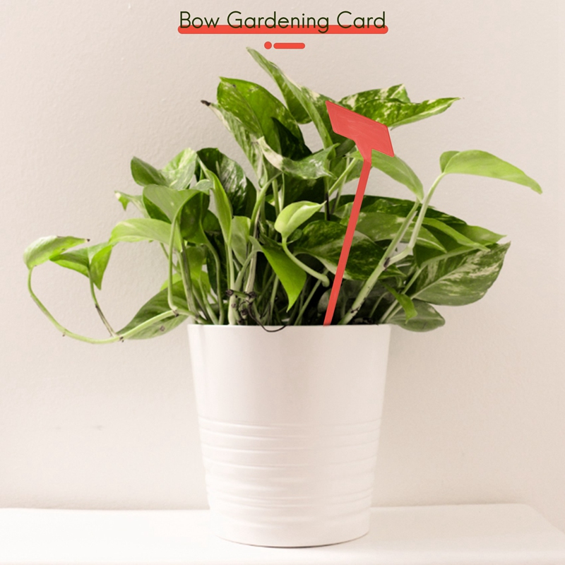 ABYP Herramientas para plantar - Garden Label Marker reseña y precio