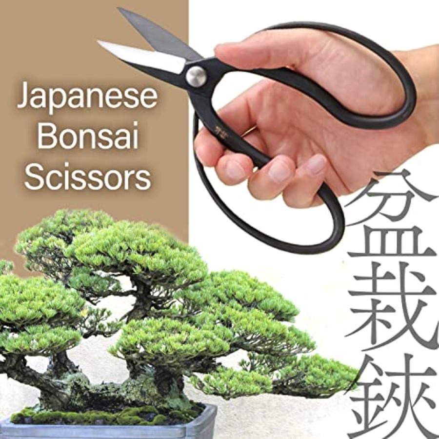 Tijeras Japonesas para Bonsái  - Gardening Tools Made In Japan reseña y precio