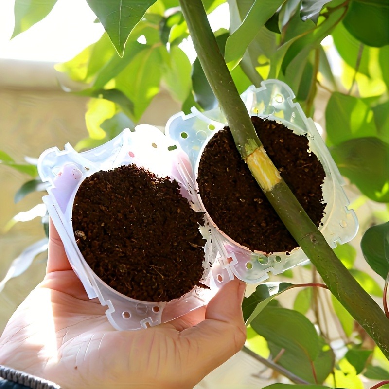 Kit de 10 Piezas para Propagac - Gardening Tools Kit reseña y precio